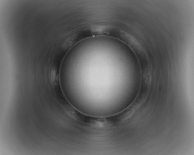 X0000113740420200909301015