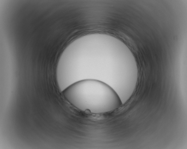 X0000113740421200909301015