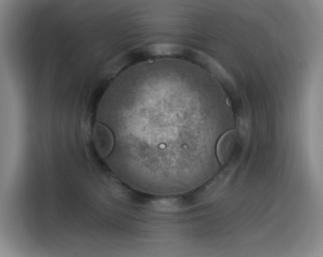 X0000113740422200909301015