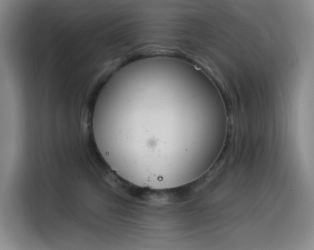 X0000113740423200909301015