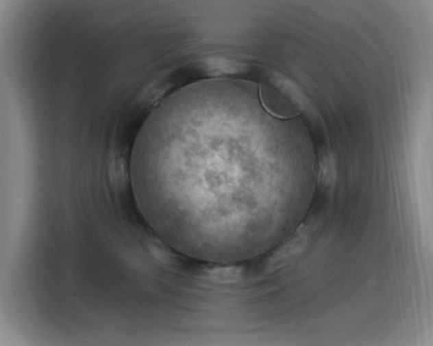 X0000113740426200909301015