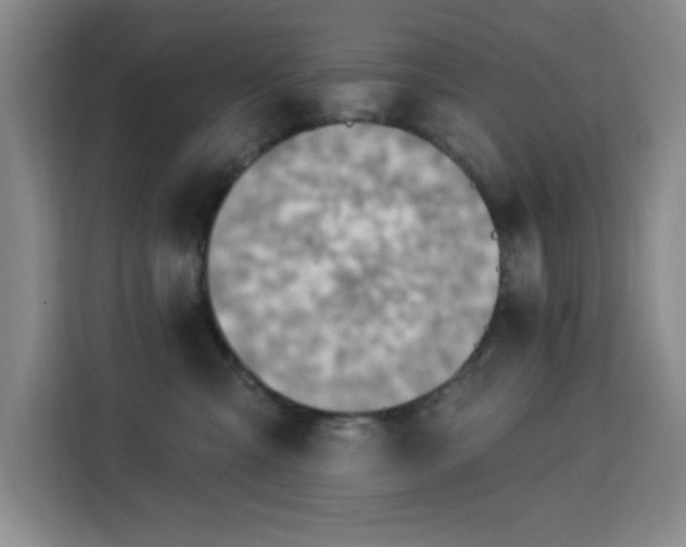 X0000113740427200909301015