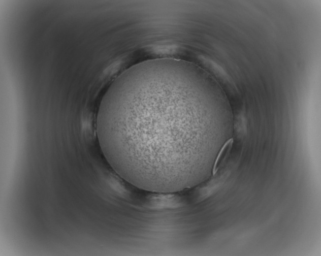 X0000113740428200909301015