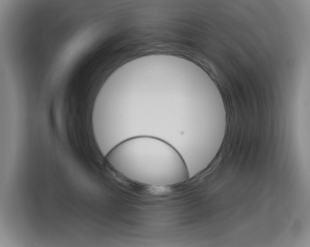 X0000113740429200909301015