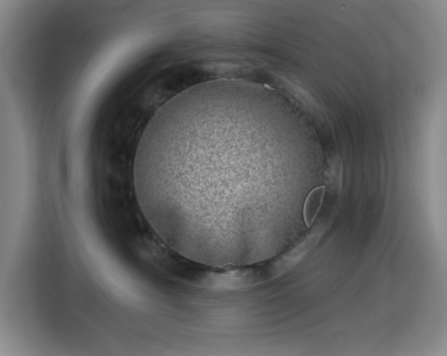 X0000113740430200909301015