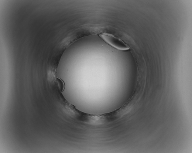 X0000113740432200909301015