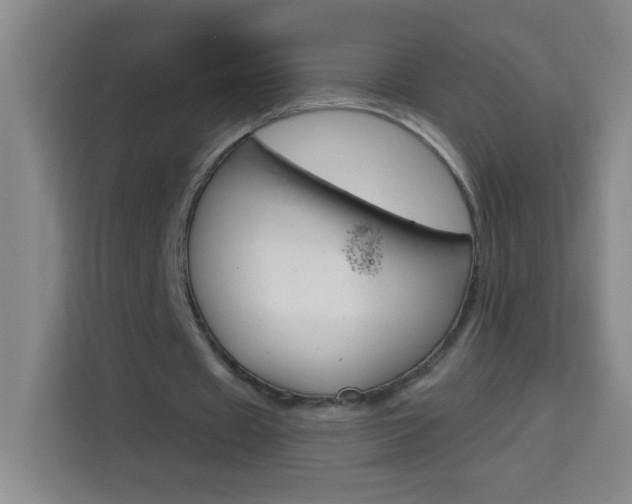 X0000113740433200909301014