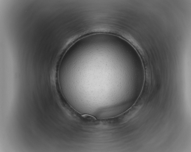 X0000113740434200909301014