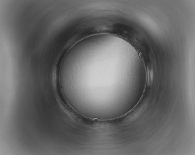 X0000113740435200909301014