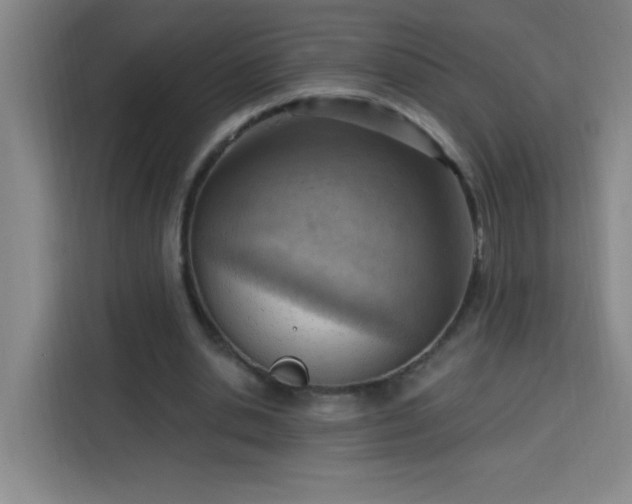 X0000113740438200909301014