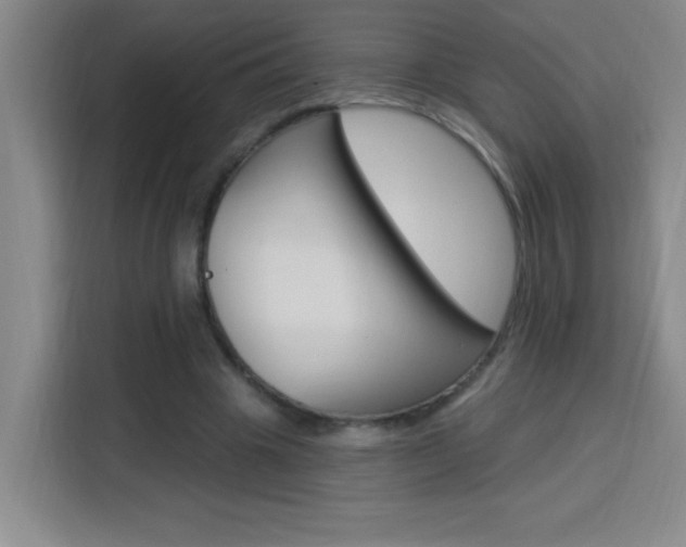 X0000113740441200909301014