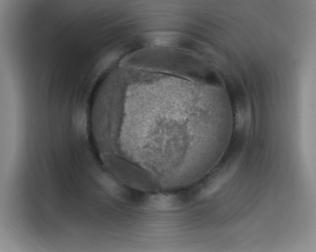 X0000113740444200909301014