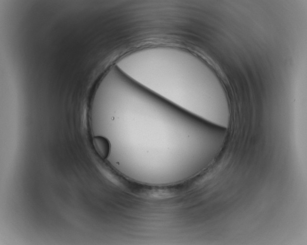 X0000113740445200909301014