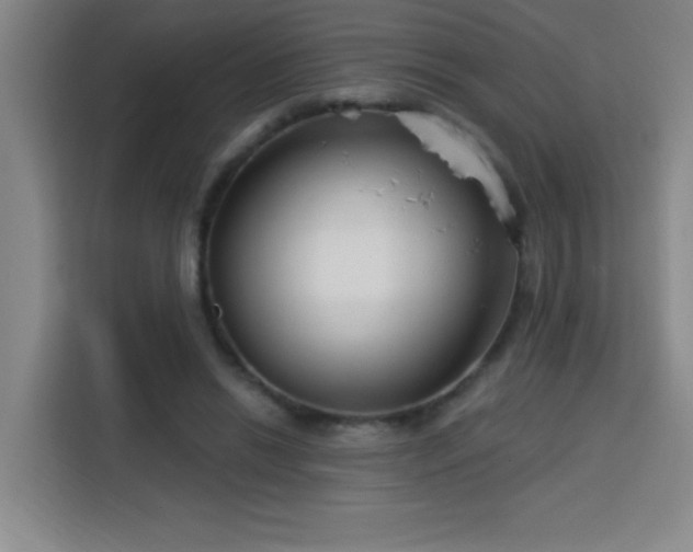 X0000113740446200909301014