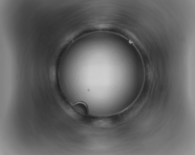 X0000113740447200909301014