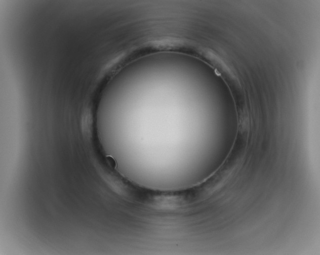 X0000113740448200909301014