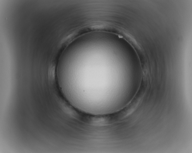 X0000113740454200909301015