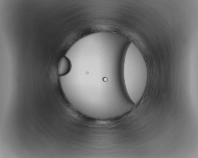 X0000113740457200909301015