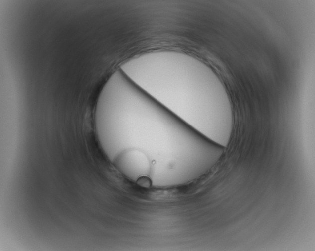 X0000113740465200909301015