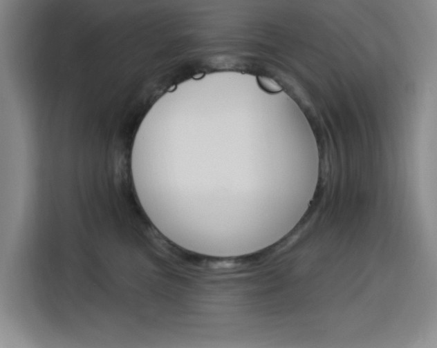 X0000113740473200909301015