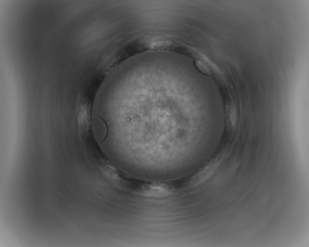 X0000113740475200909301015