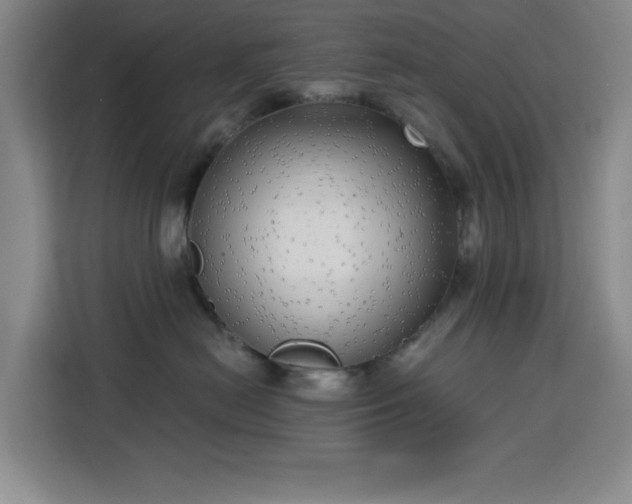 X0000113740478200909301015