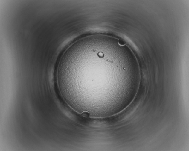 X0000113740487200909301014