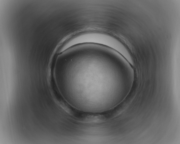 X0000113740488200909301014