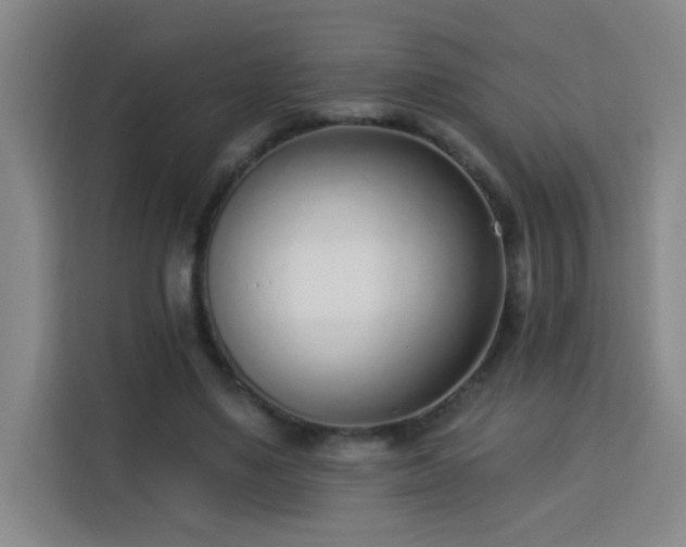 X0000113740491200909301014