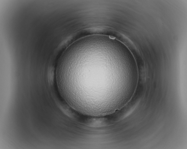 X0000113740495200909301014