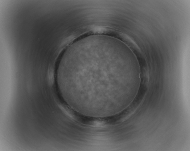 X0000113740496200909301014