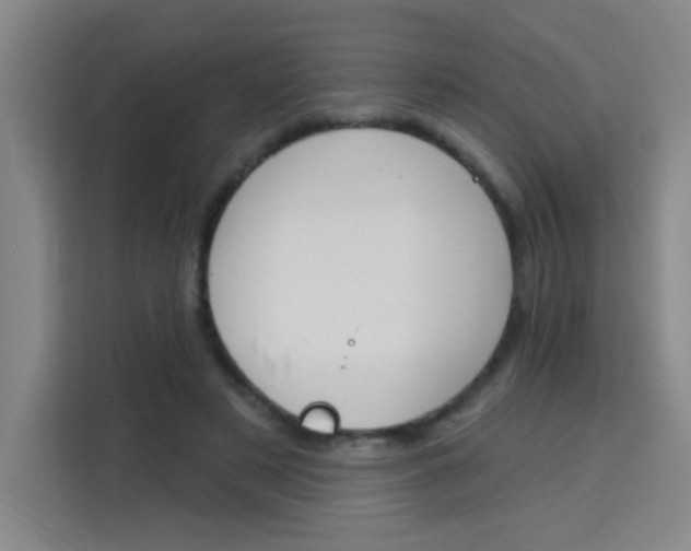 X0000113740497200909301014