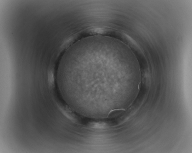 X0000113740500200909301014