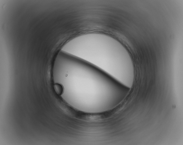 X0000113740501200909301014