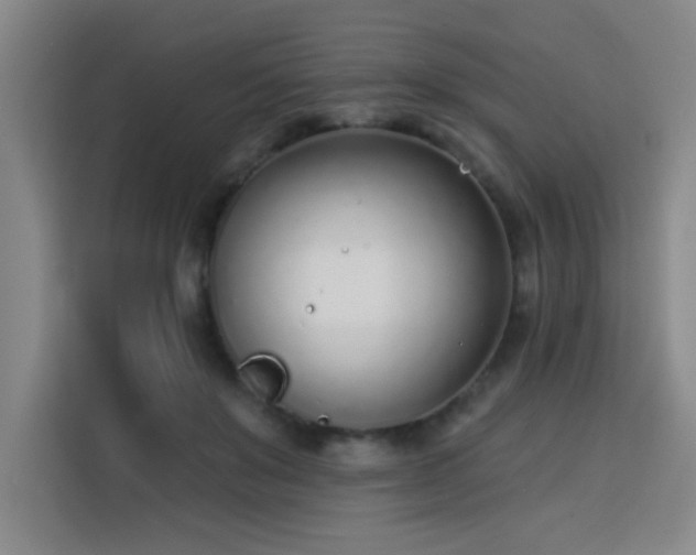 X0000113740503200909301014