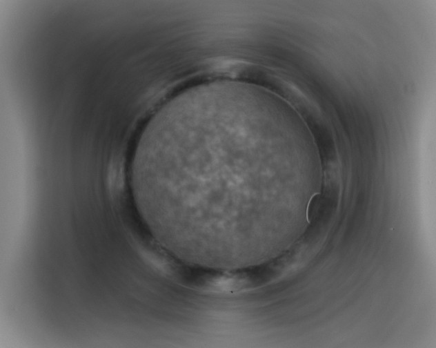 X0000113740504200909301014