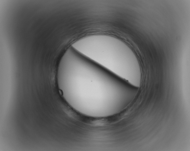 X0000113740505200909301014