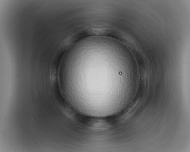 X0000113740507200909301014