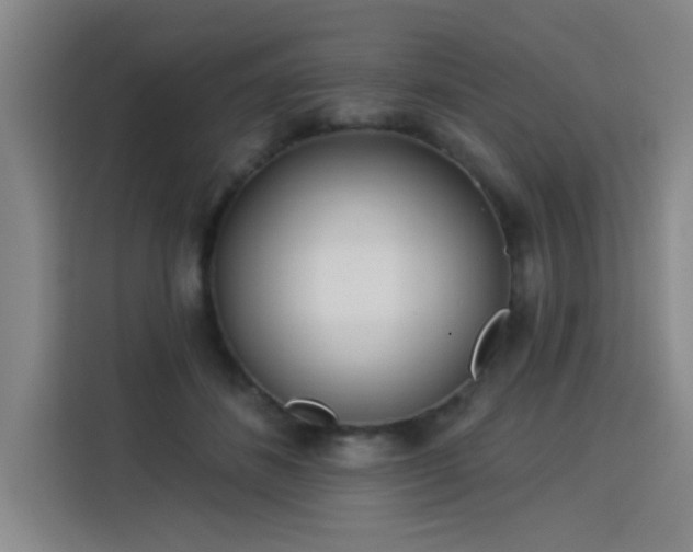 X0000113740508200909301014