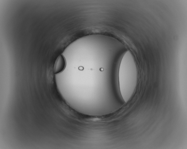 X0000113740509200909301014