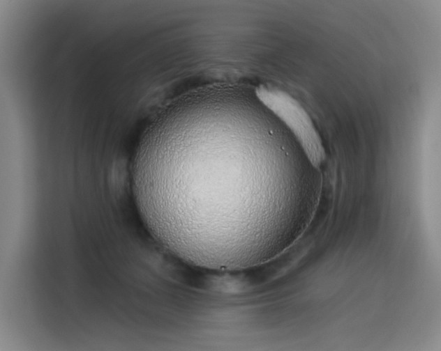 X0000113740511200909301014