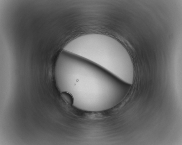 X0000113740517200909301014