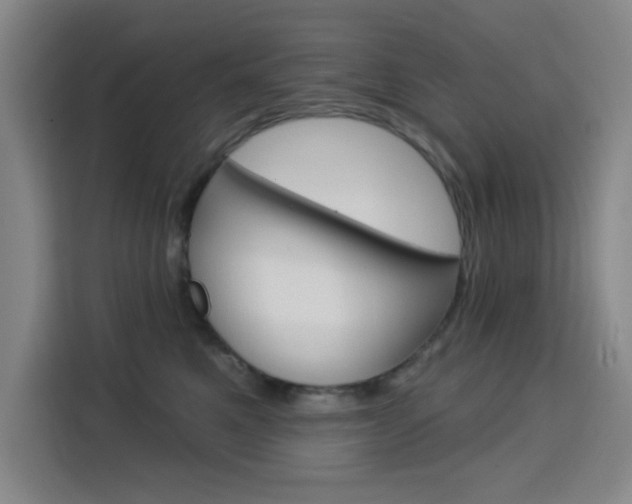 X0000113740521200909301014