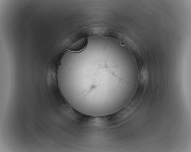 X0000113740522200909301014