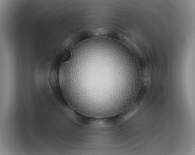 X0000113740523200909301014