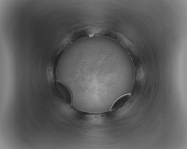 X0000113740524200909301014