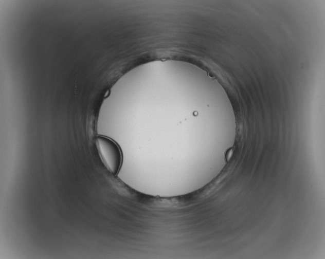 X0000113740525200909301014