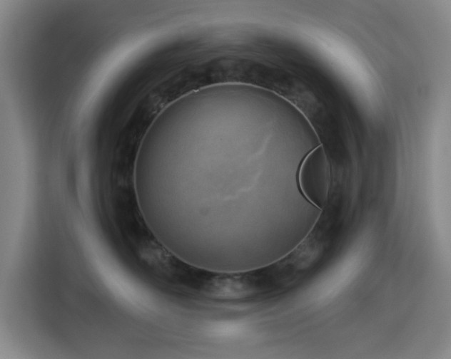 X0000113740526200909301014