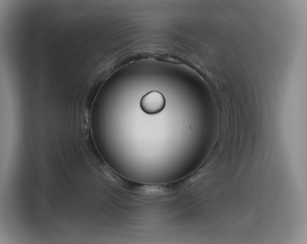 X0000113740528200909301014