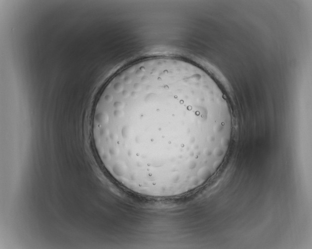 X0000113740529200909301013